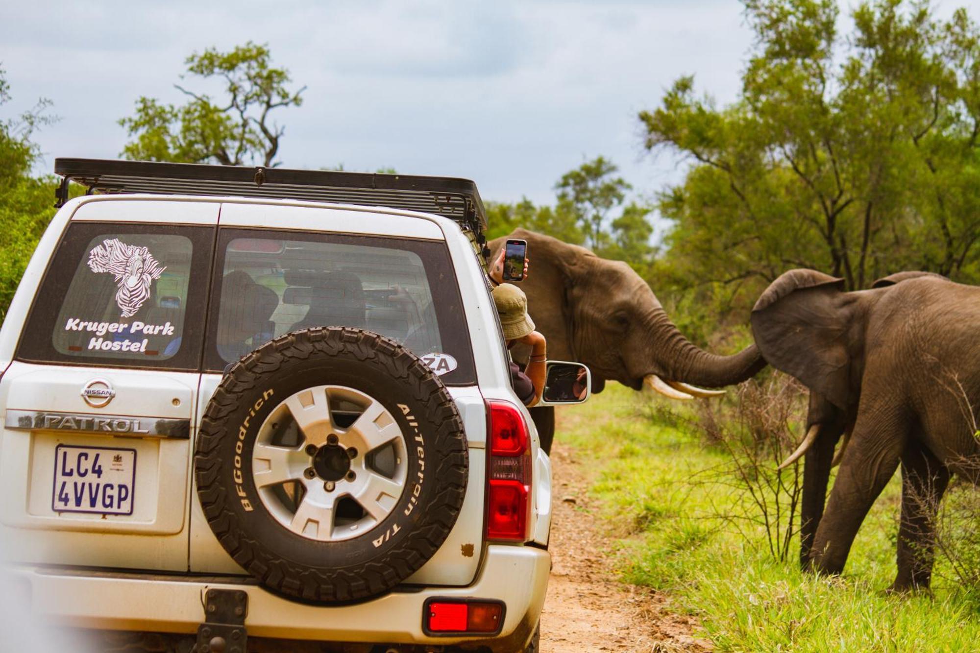 Kruger Park Hostel Marloth Park Exterior foto